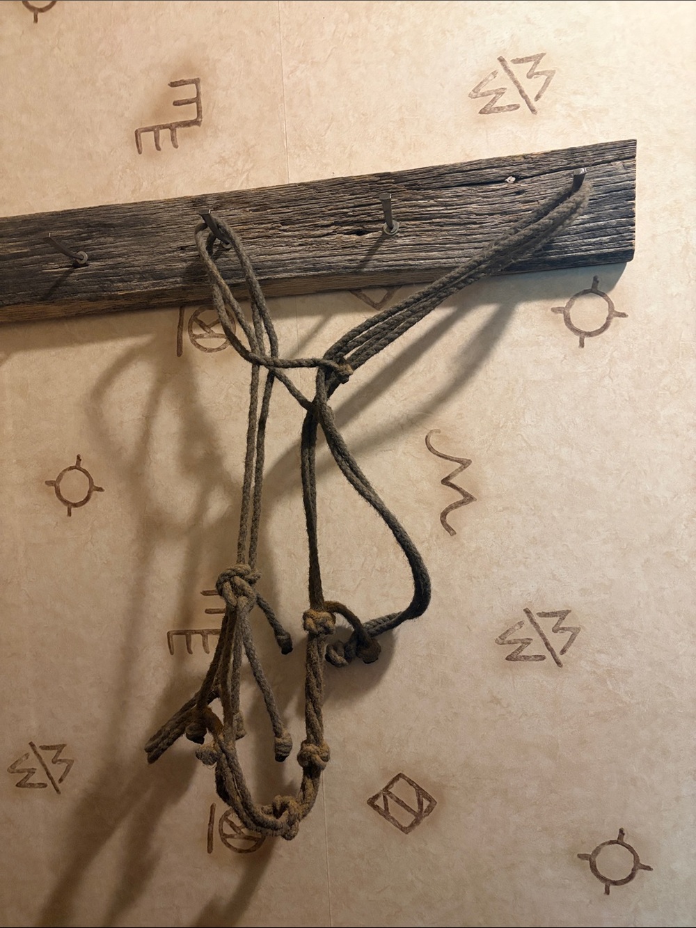 Loping hackamore - Picture 2 of 5